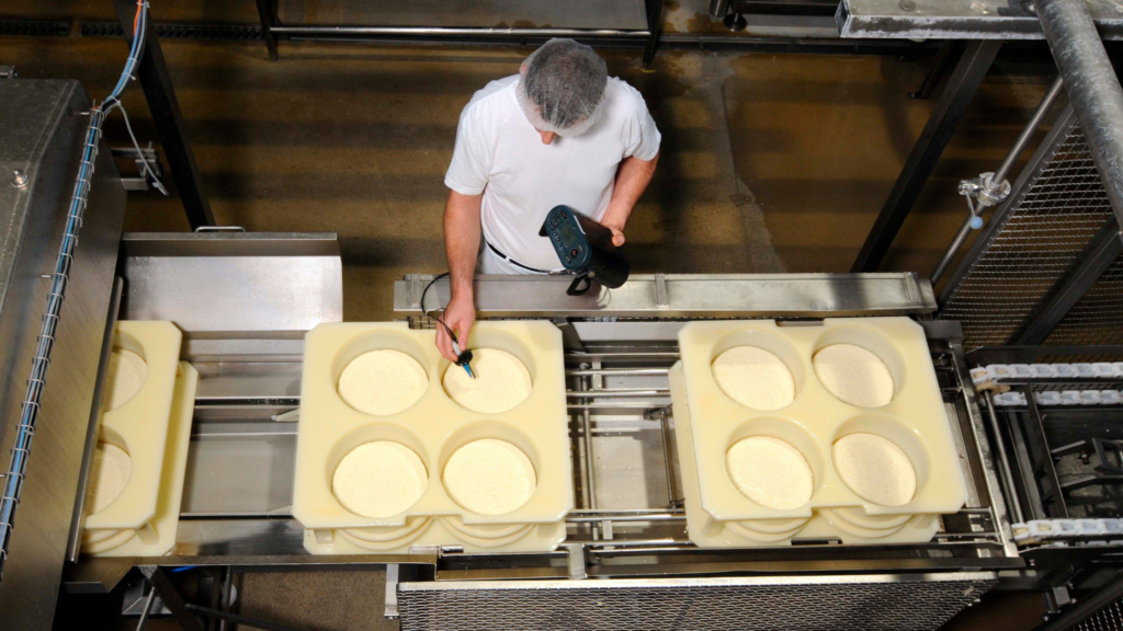 industria alimentícia